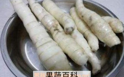 冬粉薯的作用与禁忌 冬粉薯有什么功效与作用