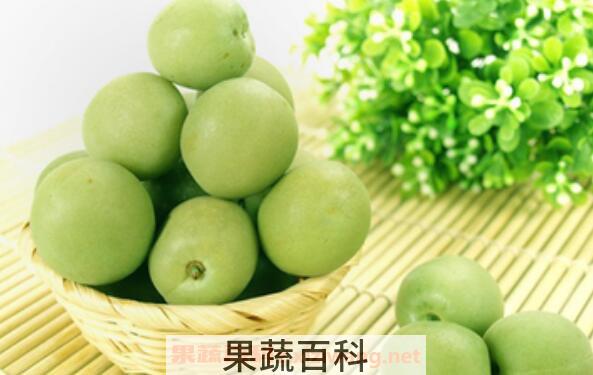 酸梅果的功效与作用