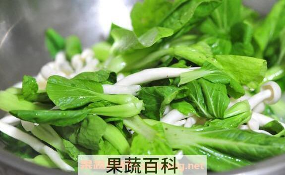 金鸡毛菜怎么吃 金鸡毛菜的食用方法