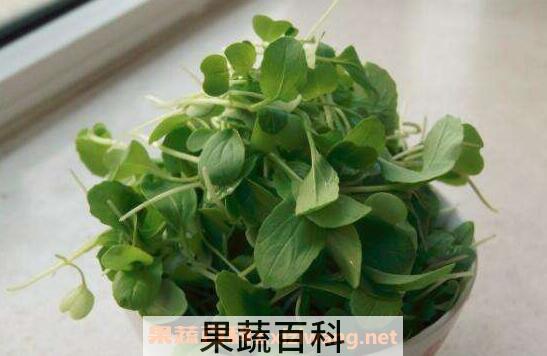 金鸡毛菜怎么吃 金鸡毛菜的食用方法