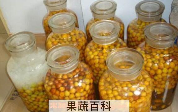 酸梅酒如何做 酸梅酒怎么泡窍门
