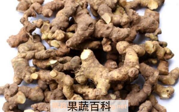 野山姜是什么 野山姜泡脚有什么功效