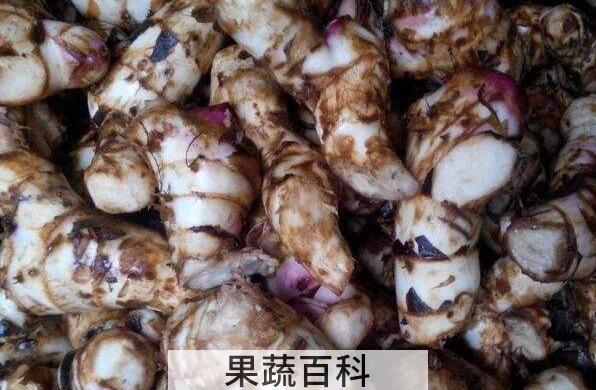 姜芋的功效和作用 姜芋的禁忌