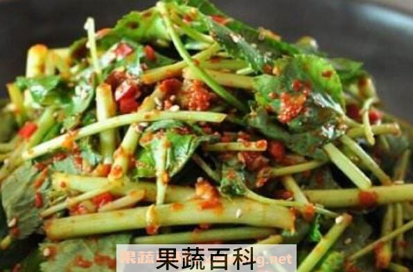 茴芹怎么吃 茴芹的吃法大全