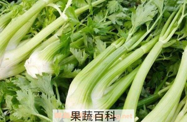 茴芹怎么吃 茴芹的吃法大全