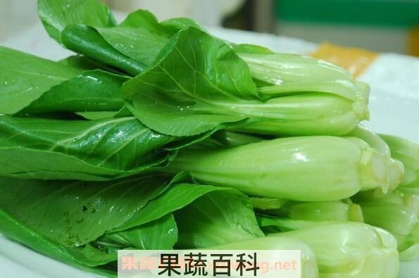 鸡毛菜的功效与作用及禁忌
