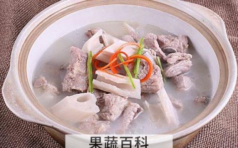 排骨炖藕有什么营养 排骨炖藕的功效及禁忌