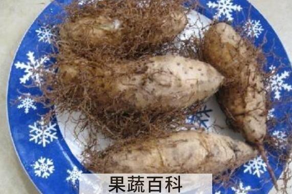 毛薯的功效与作用 毛薯的副作用