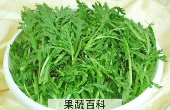 野菊花脑的功效与作用 菊花脑的副作用