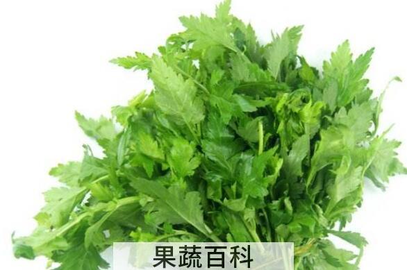野菊花脑的功效与作用 菊花脑的副作用
