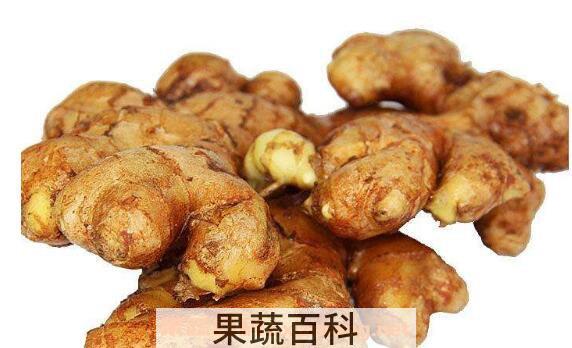 小黄姜有什么作用 小黄姜的功效与作用