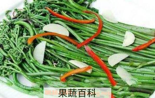 山蕨菜怎么储藏 山蕨菜的功效