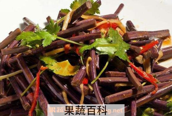 山蕨菜怎么储藏 山蕨菜的功效