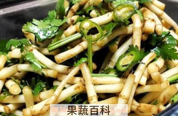 蕺菜怎么吃 蕺菜的食用方法