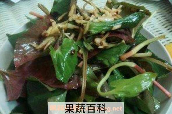 蕺菜怎么吃 蕺菜的食用方法