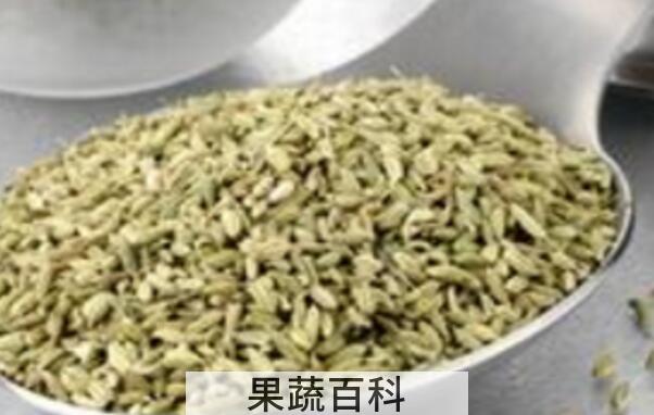 茴香籽怎么吃 茴香籽的食用方法