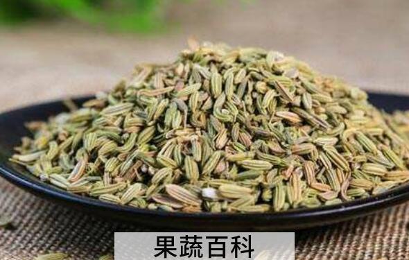 茴香籽怎么吃 茴香籽的食用方法