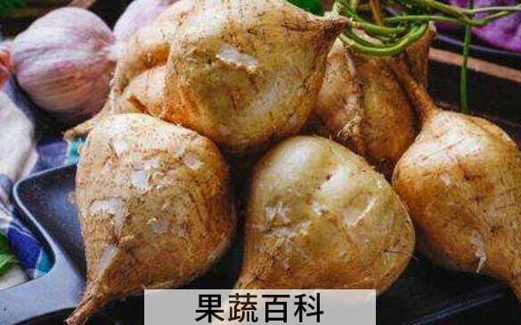 豆薯的作用与功效 豆薯的禁忌