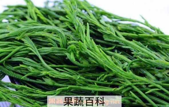 东北臭菜的功效与作用 东北臭菜的禁忌