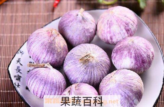 紫皮大蒜的功效与作用