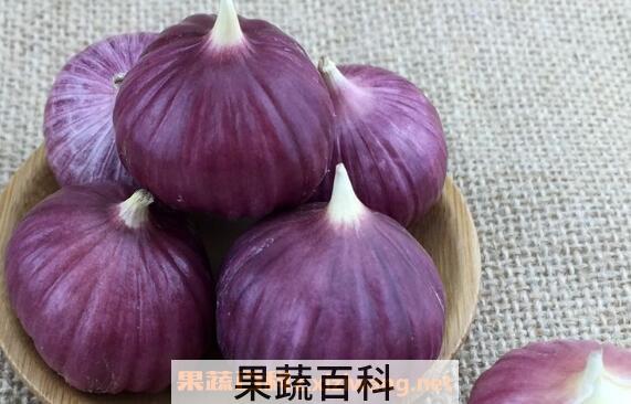 紫皮大蒜的功效与作用