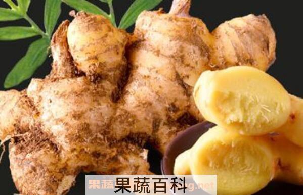 小黄姜跟普通姜的区别 小黄姜的禁忌