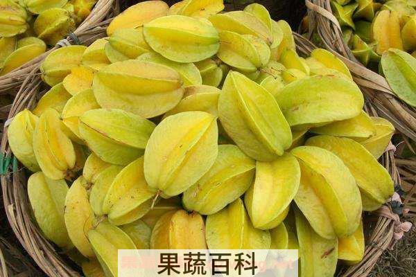 杨桃干