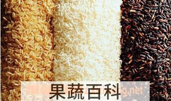 果蔬百科大米