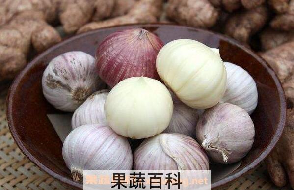 独头蒜泡醋有什么功效