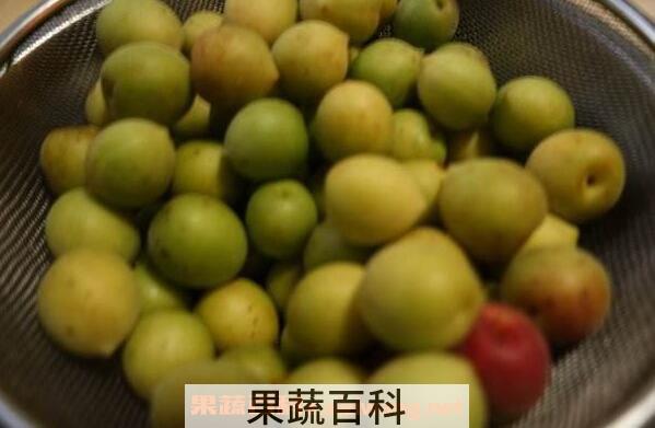 广西酸梅如何做 广西酸梅腌制做法