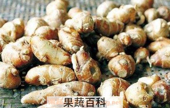 山明姜的功效与作用 山明姜的禁忌