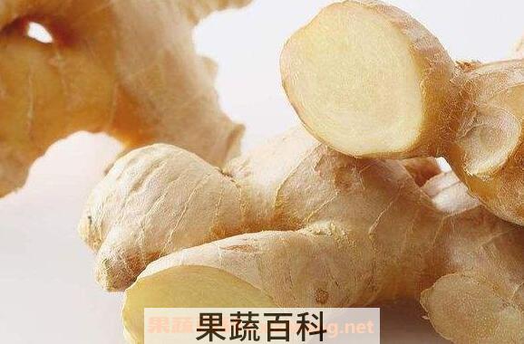怀酱汁的功效与作用