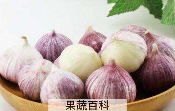 独头蒜的功效与作用