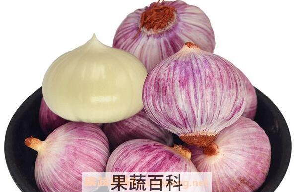 独头蒜的功效与作用