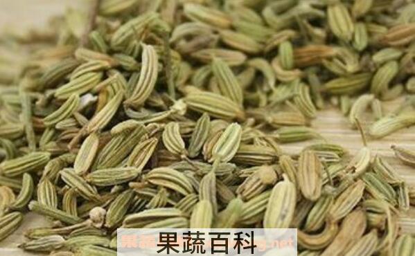 茴芹果的功效与作用