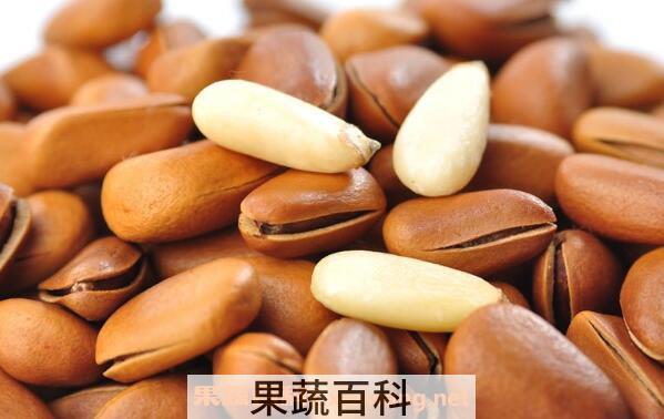 红松松子的功效与作用
