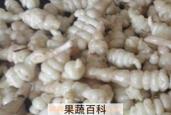 地藕的功效与作用 地藕的禁忌