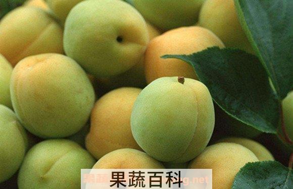青梅