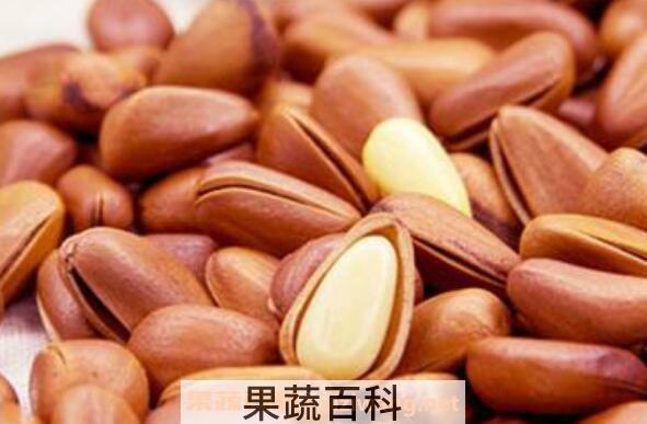 开口松子的功效与作用 松子的禁忌有哪些