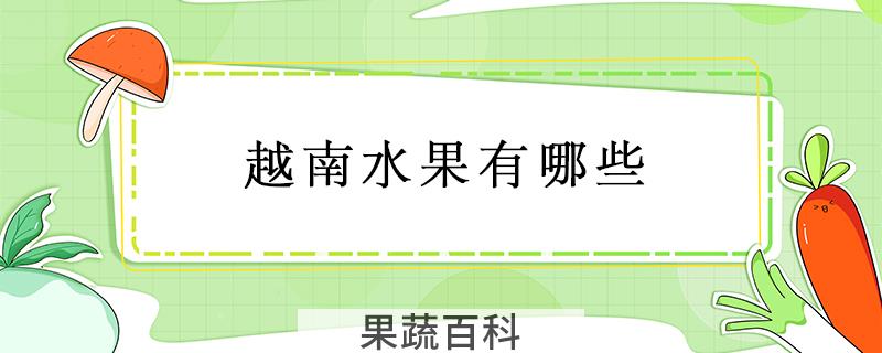 越南水果有哪些