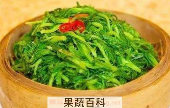 面条菜怎么吃 面条菜的食用方法