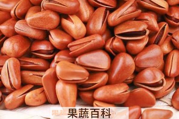 长白山松子的功效与作用