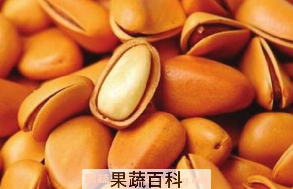 长白山松子的功效与作用