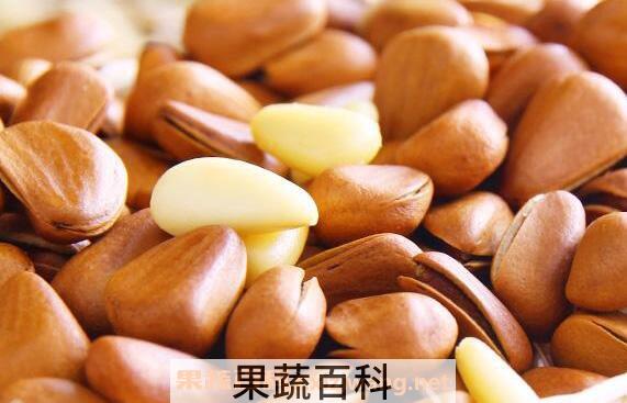 油松子的功效与作用