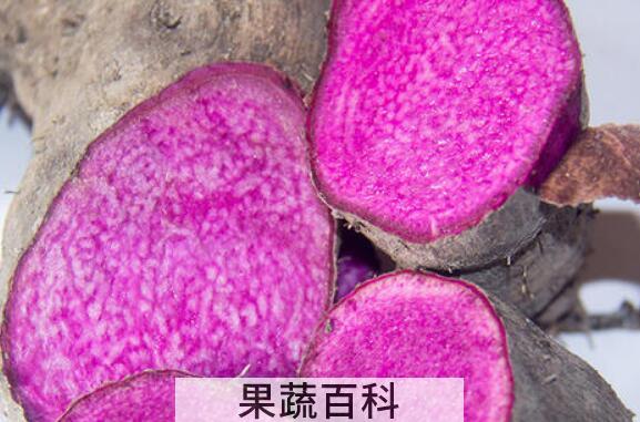 脚扳薯的功效与作用 脚扳薯的禁忌