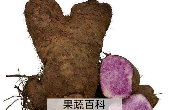 脚扳薯的功效与作用 脚扳薯的禁忌