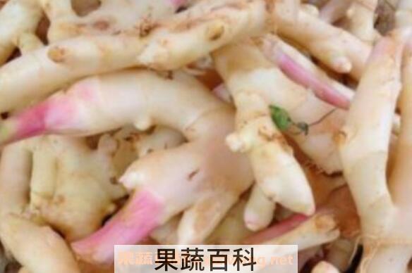 竹根姜的功效与作用