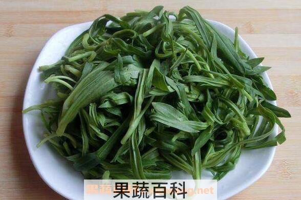 面条菜的功效与作用 面条菜的禁忌