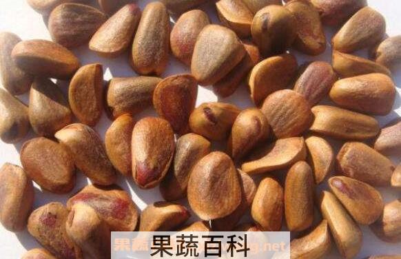 炒松子的功效与作用 吃炒松子的好处