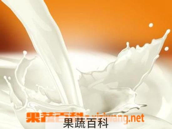 果蔬百科鲜牛奶营养价值